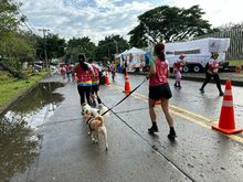 En fotos: adrenalina, alegr&iacute;a, deporte y diversi&oacute;n en la CicloVida RUN 7K de la Familia