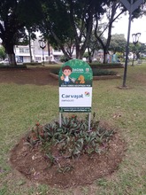 &iquest;De qu&eacute; trata el programa &lsquo;Zonas de Adopci&oacute;n&rsquo; en Cali?