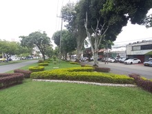 &iquest;De qu&eacute; trata el programa &lsquo;Zonas de Adopci&oacute;n&rsquo; en Cali?