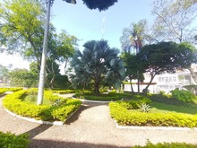 &iquest;De qu&eacute; trata el programa &lsquo;Zonas de Adopci&oacute;n&rsquo; en Cali?