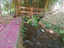 &iquest;De qu&eacute; trata el programa &lsquo;Zonas de Adopci&oacute;n&rsquo; en Cali?