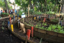 Dagma realiz&oacute; jornada  educativa sobre huertas