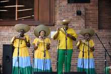 M&aacute;s de 30 agrupaciones presentes en las zonales clasificatorias del Festival de M&uacute;sica Petronio &Aacute;lvarez, en Cali