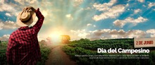 Plantilla_HomeWeb_Alcaldi?aCali_2023