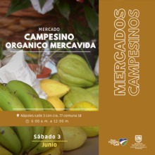 Fin de semana para ir a los &lsquo;mercados campesinos&rsquo;, comprar y felicitar a quienes cultivan nuestro campo