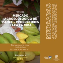 Fin de semana para ir a los &lsquo;mercados campesinos&rsquo;, comprar y felicitar a quienes cultivan nuestro campo
