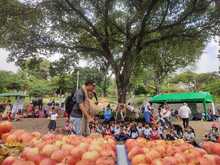 Dagma conmemor&oacute; el &lsquo;D&iacute;a Mundial del Medio Ambiente&rsquo; con su &lsquo;P&iacute;cnic Ambiental&rsquo;