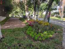 Parques y zonas verdes son el reflejo de nuestra ciudad