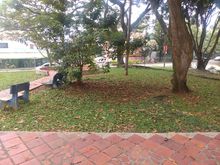 Pgirs y prestaci&oacute;n del servicio p&uacute;blico de aseo en &aacute;reas verdes p&uacute;blicas