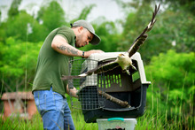 Gracias a labor del Dagma, fauna silvestre retorna a su h&aacute;bitat