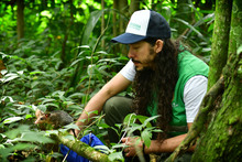 Gracias a labor del Dagma, fauna silvestre retorna a su h&aacute;bitat