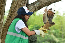 Gracias a labor del Dagma, fauna silvestre retorna a su h&aacute;bitat