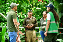 Gracias a labor del Dagma, fauna silvestre retorna a su h&aacute;bitat