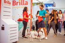 Atletas alistan su mejor paso para la Media Marat&oacute;n de Cali este domingo 11 de junio