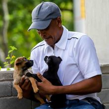 Familias respondieron a la jornada de adopci&oacute;n del Centro de Bienestar Animal de Cali