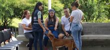 Familias respondieron a la jornada de adopci&oacute;n del Centro de Bienestar Animal de Cali