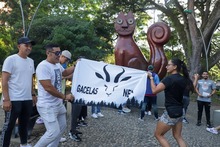 55 gacelas salieron de Neiva para ser recibidas en Cali