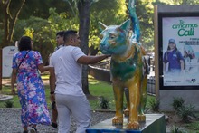 55 gacelas salieron de Neiva para ser recibidas en Cali