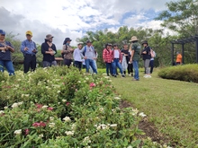 Intercambio de experiencias entre sistemas de &Aacute;reas Protegidas de Cali y Calima-Dari&eacute;n