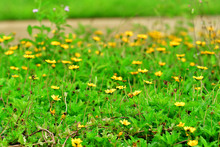 Intercambio de experiencias entre sistemas de &Aacute;reas Protegidas de Cali y Calima-Dari&eacute;n