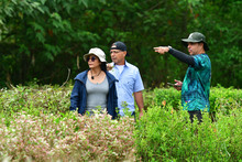 Intercambio de experiencias entre sistemas de &Aacute;reas Protegidas de Cali y Calima-Dari&eacute;n