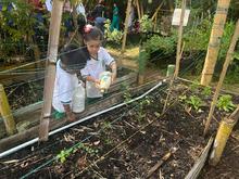 Primer intercambio de saberes sobre huertas urbanas en Cali