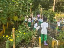 Primer intercambio de saberes sobre huertas urbanas en Cali