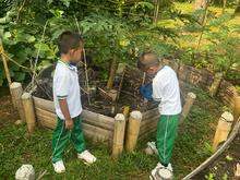 Primer intercambio de saberes sobre huertas urbanas en Cali