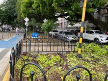 Dagma intensifica labores de ajardinamiento