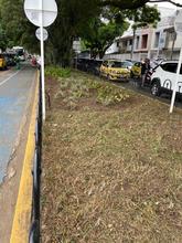 Dagma intensifica labores de ajardinamiento