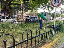 Dagma intensifica labores de ajardinamiento