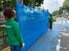 Dagma intensifica labores de ajardinamiento