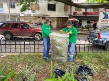 Dagma intensifica labores de ajardinamiento