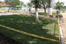 El Bulevar de Oriente crece y dos ceibas m&aacute;s crecer&aacute;n con &eacute;l