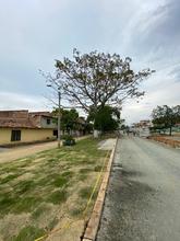 El Bulevar de Oriente crece y dos ceibas m&aacute;s crecer&aacute;n con &eacute;l