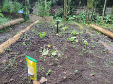 Huerta del Colegio Americano, ejemplo para la soberan&iacute;a alimentaria