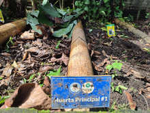 Huerta del Colegio Americano, ejemplo para la soberan&iacute;a alimentaria