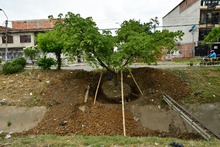 Un frondoso traslado de Puro Coraz&oacute;n  