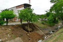 Un frondoso traslado de Puro Coraz&oacute;n  