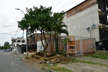 Un frondoso traslado de Puro Coraz&oacute;n  