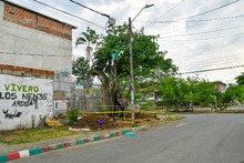 Un frondoso traslado de Puro Coraz&oacute;n  