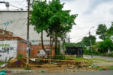 Un frondoso traslado de Puro Coraz&oacute;n  