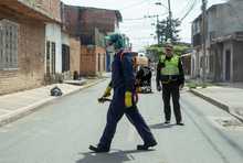 Autoridad sanitaria realiza acciones de prevenci&oacute;n y control del dengue