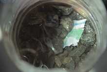 Autoridad sanitaria realiza acciones de prevenci&oacute;n y control del dengue