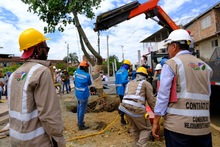 Linda y Leticia, dos &aacute;rboles que le dar&aacute;n vida al Bulevar de Oriente