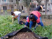 Fueron adecuadas las huertas en la UTS Cuna de Campeones