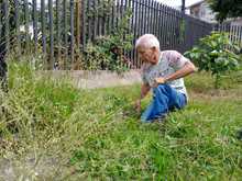 Fueron adecuadas las huertas en la UTS Cuna de Campeones