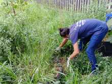 Fueron adecuadas las huertas en la UTS Cuna de Campeones