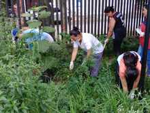 Fueron adecuadas las huertas en la UTS Cuna de Campeones