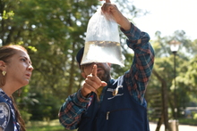 Peces guppies, una alternativa de control biol&oacute;gico contra el dengue